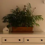 La Linterna De San Lorenzo Apartment *
