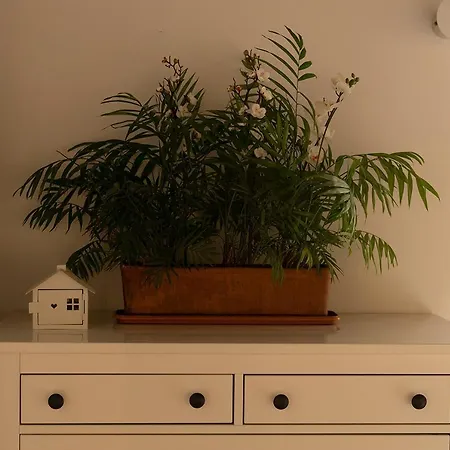 La Linterna De San Lorenzo Apartment *